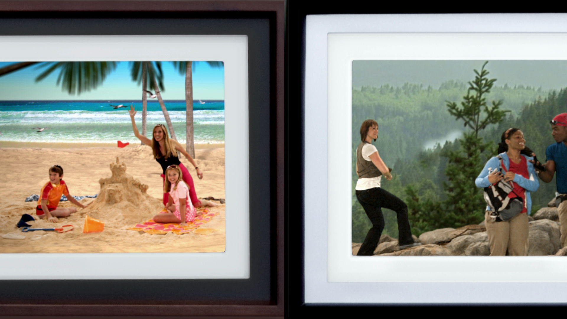 Kodak + TLC Bark Bark